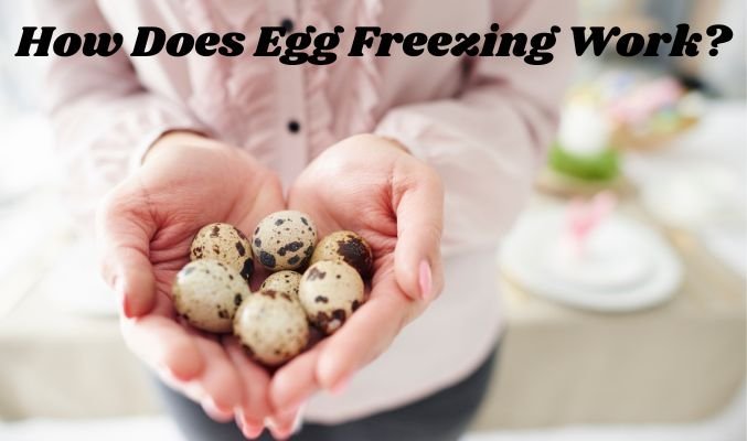How Does Egg Freezing Work?
